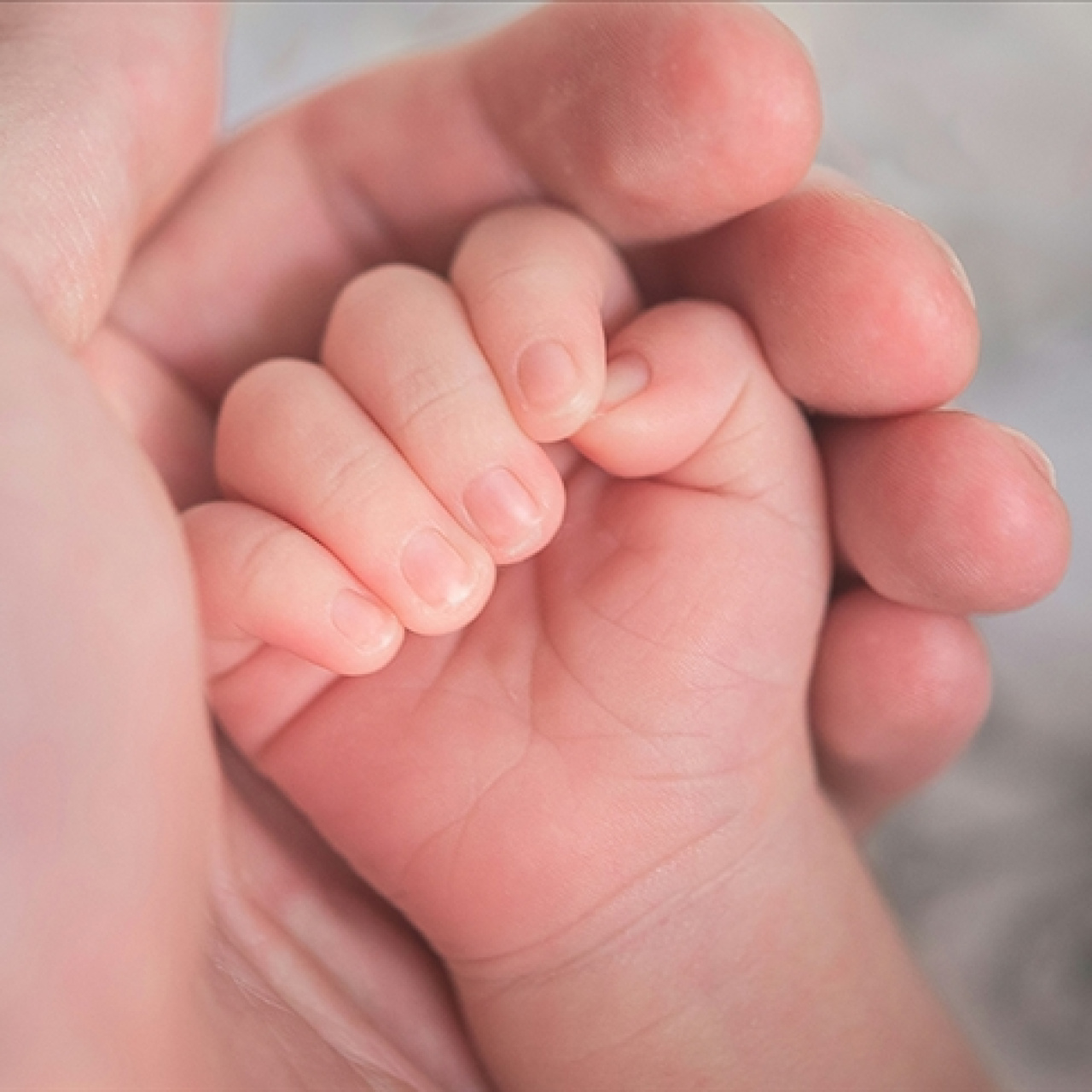 Doğum izni 24 haftaya çıkıyor!