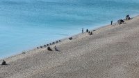 Antalya'da deniz 19, hava 12 derece!
