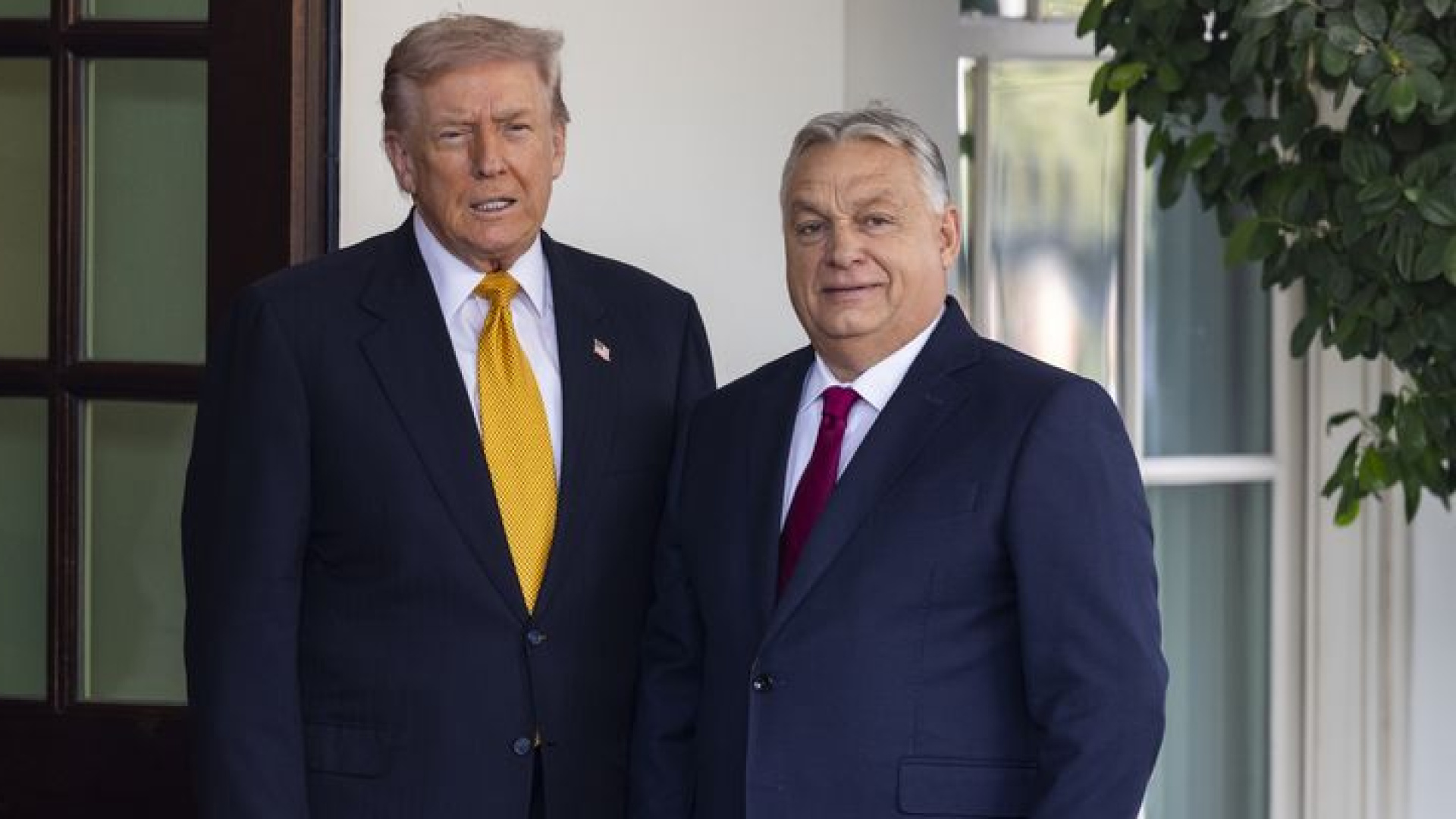 ABD'den Macaristan'a Gazze Daveti: Orban Barış Kurulu'na Katılıyor