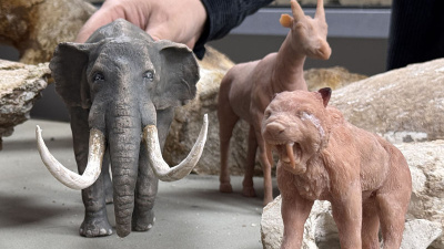 7.7 milyon yıllık fosillerinin minyatürleri!