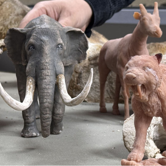 7.7 milyon yıllık fosillerinin minyatürleri!