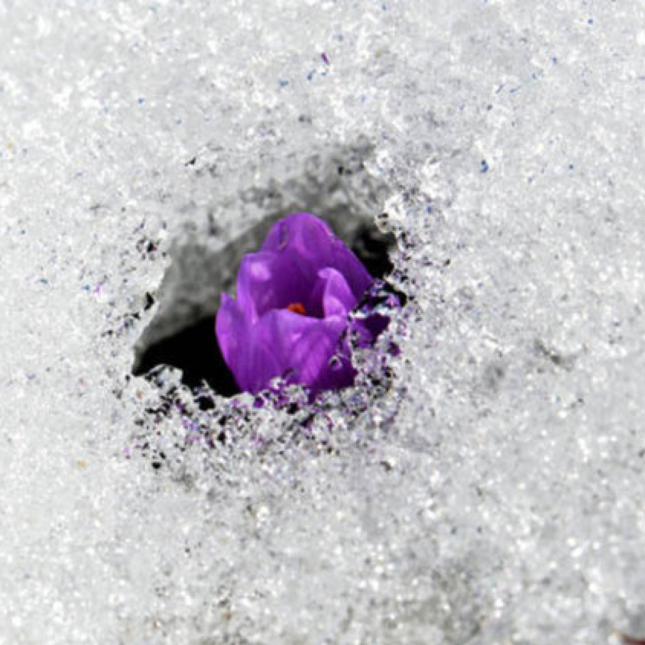 Cemre düşme tarihleri