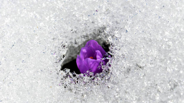 Cemre düşme tarihleri