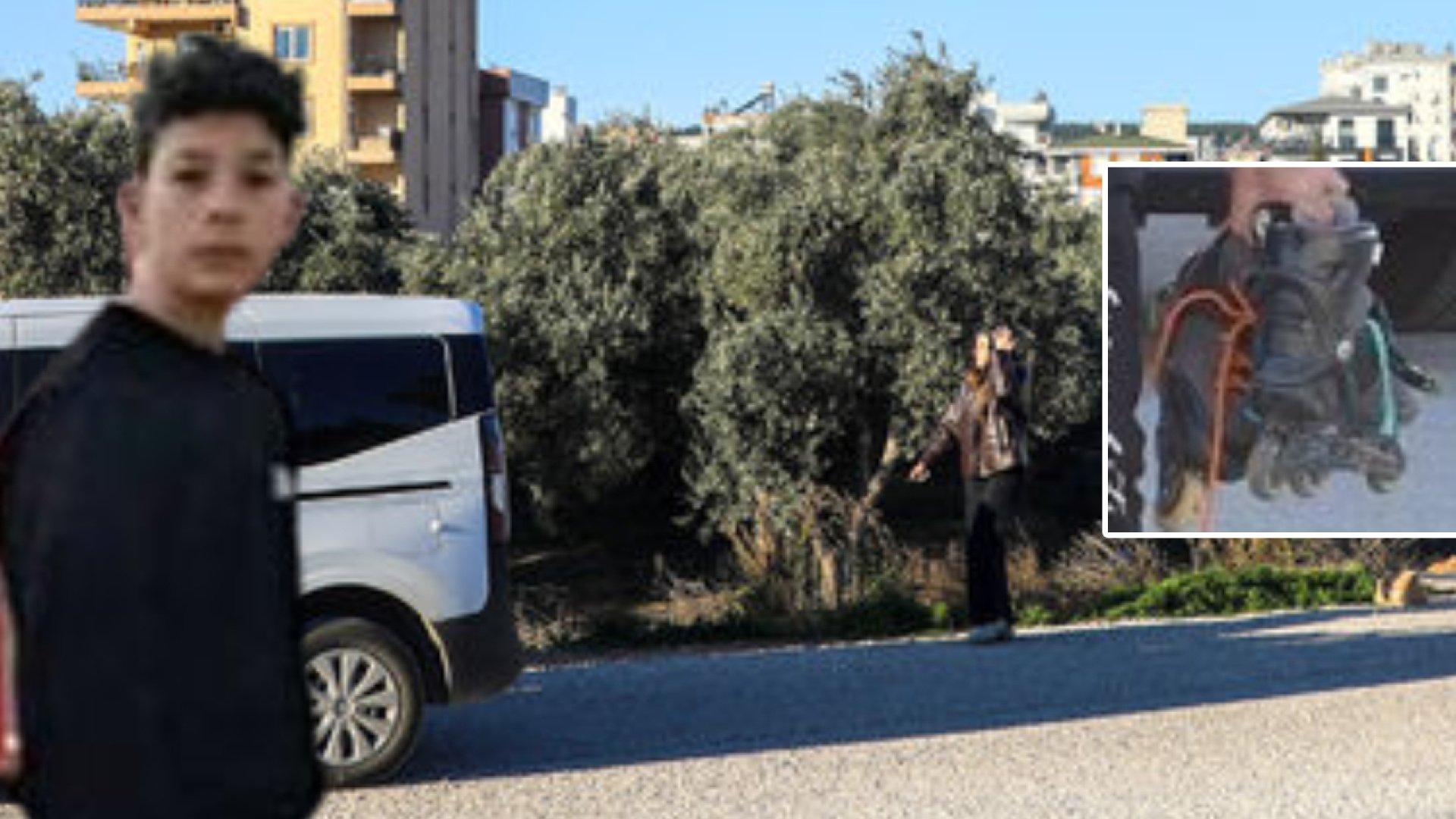 Son dakika: Antalya haberleri: Acı kayıp! Daha 15 yaşındaydı... Zeytinlik alanda düştü, hayatını kaybetti! | Son dakika haberleri