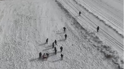 Köpek dövüştürenler drone kamerasına yakalandı!