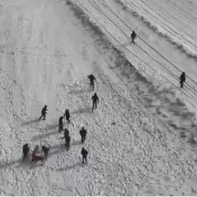 Köpek dövüştürenler drone kamerasına yakalandı!