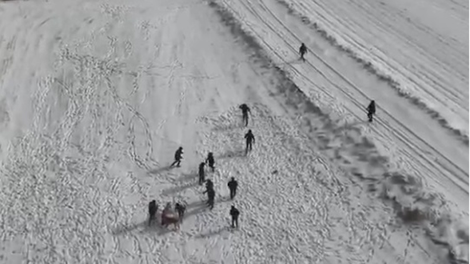 Köpek dövüştürenler drone kamerasına yakalandı!