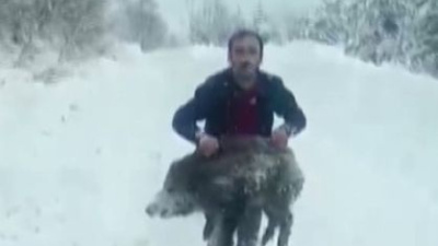 Domuzu elleriyle yakaladı, cezası iptal edildi