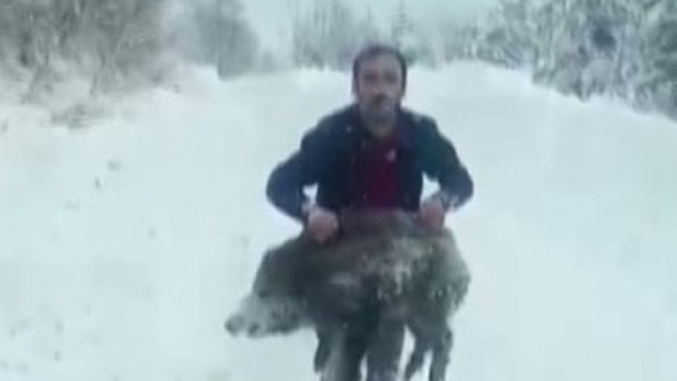 Domuzu elleriyle yakaladı, cezası iptal edildi