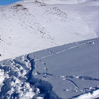 Hayvanlarını otlatan çoban çığ altında kaldı
