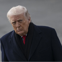 Grönland sorusuna yanıt: 'Yorum yok'