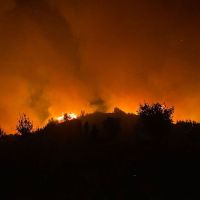 Antalya'da ormanlık alanda yangın çıktı