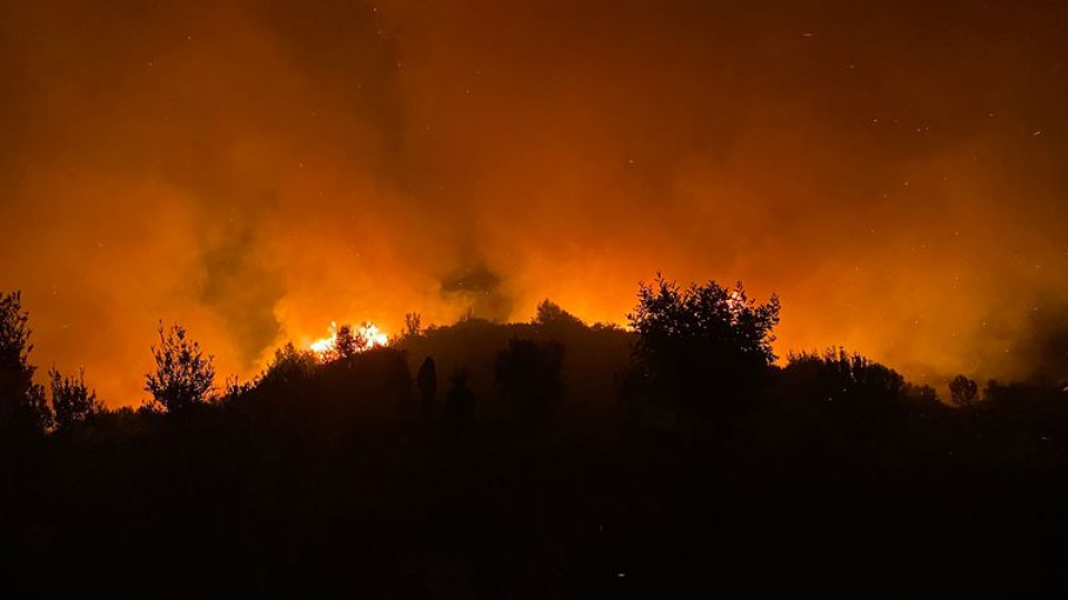 Antalya'da ormanlık alanda yangın çıktı