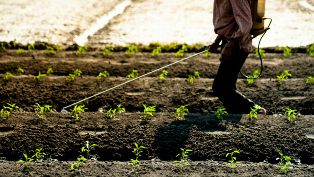 Tarımda ‘B-Reçete’ dönemi başlıyor