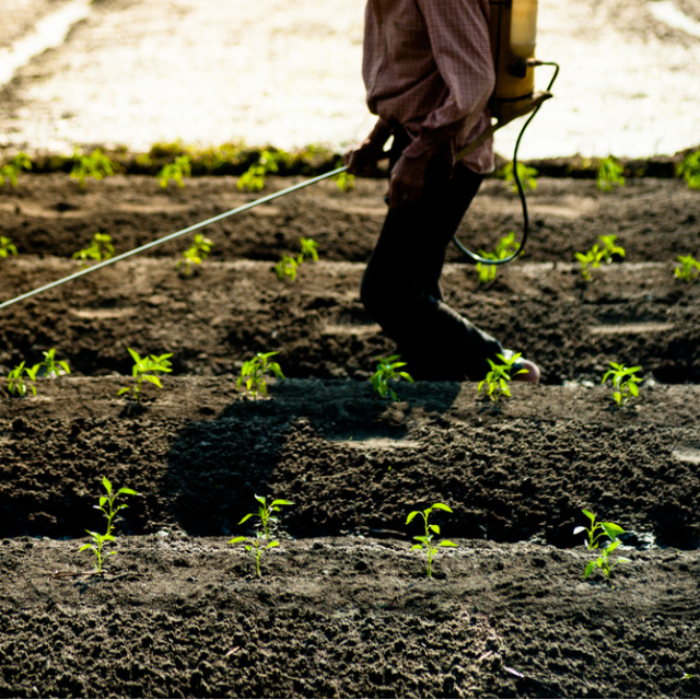 Tarımda ‘B-Reçete’ dönemi başlıyor