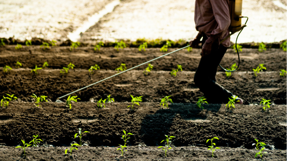 Tarımda 'B-Reçete' dönemi başlıyor