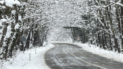 9 kilometrelik yol kar yağışıyla büyüledi
