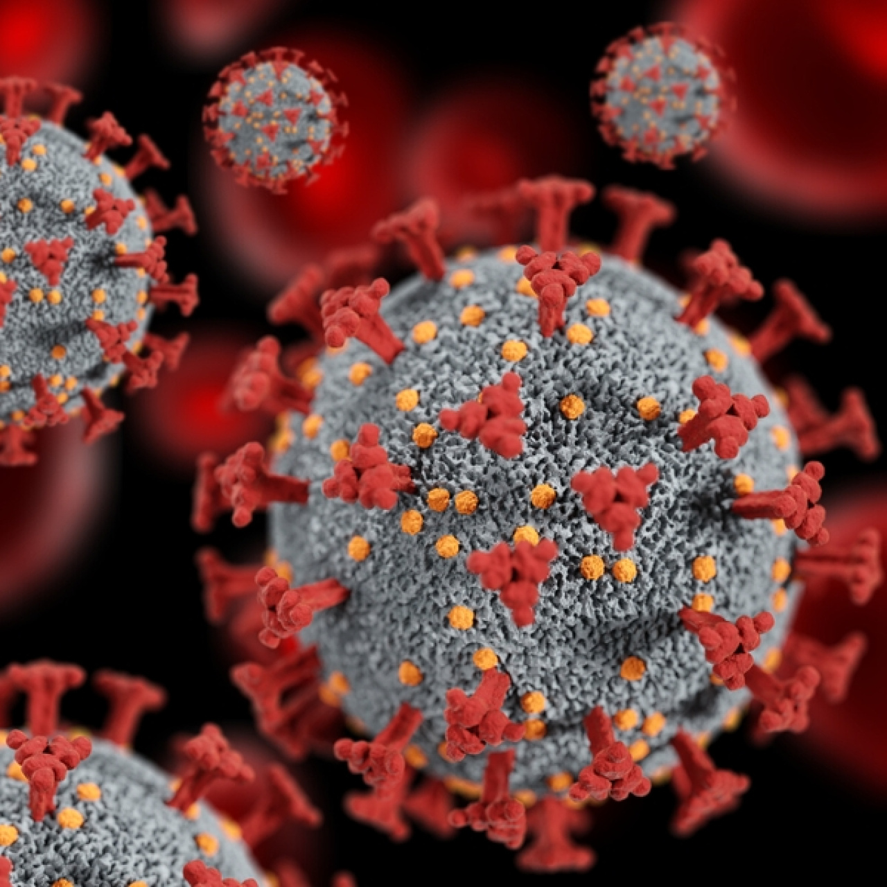 Bocavirüs alarmı! Ağır solunum sıkıntısı...