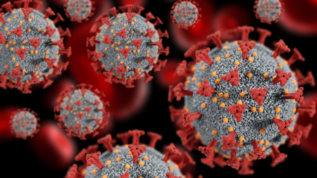 Bocavirüs alarmı! Ağır solunum sıkıntısı...