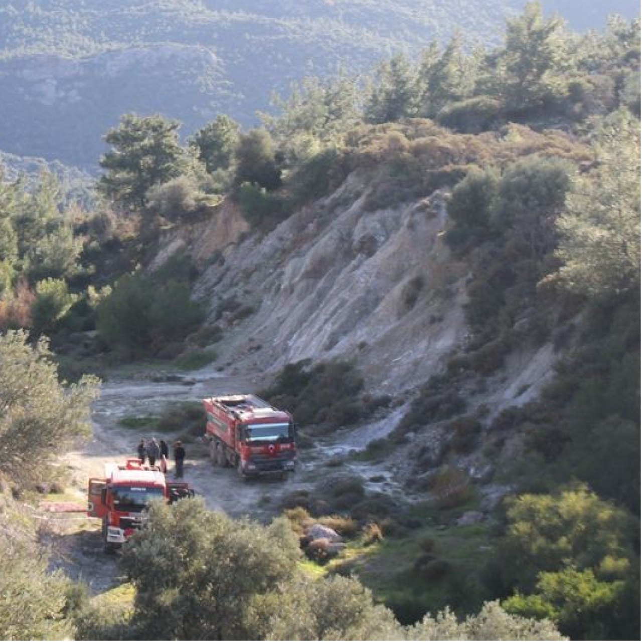 Orman yangınında 2 hektar alan zarar gördü