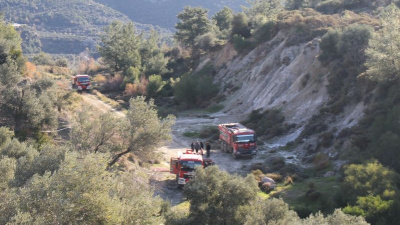 Orman yangınında 2 hektar alan zarar gördü