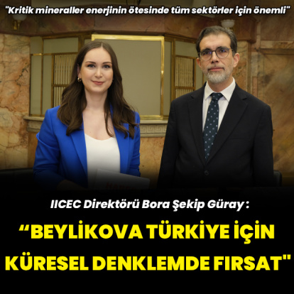 "Kritik mineraller enerjinin ötesinde tüm sektörler için önemli"