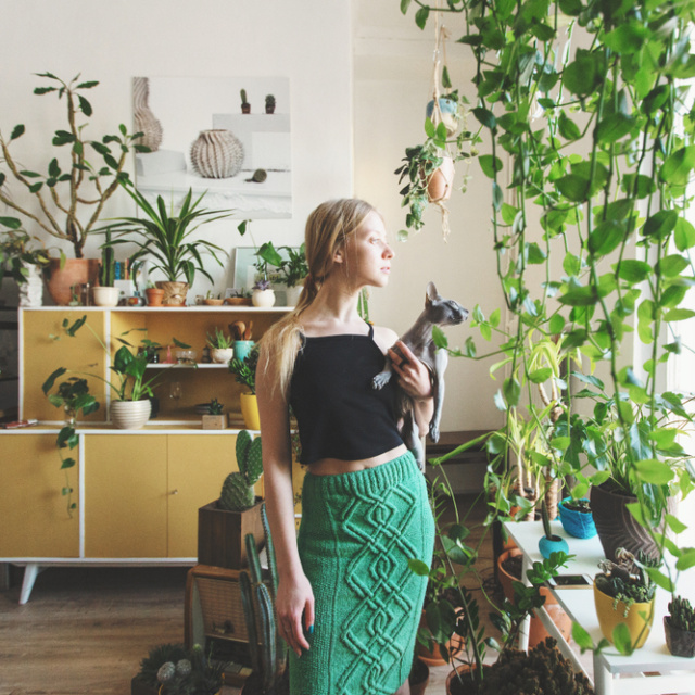 Kediler için zehirli 8 çiçek