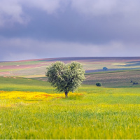 TOKİ 29 ilde 244 arsa satıyor