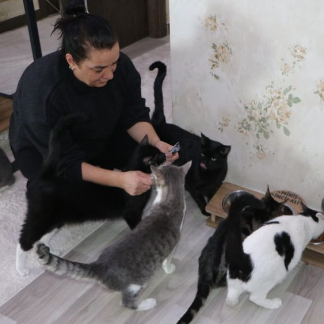 Korkusunu yendi, evini sokak kedilerine yuvaya dönüştürdü