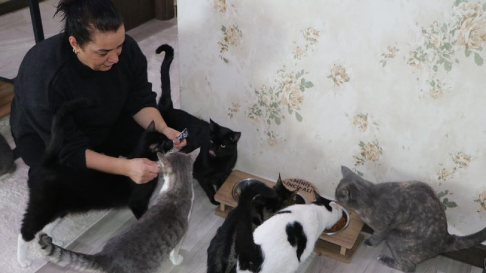 Korkusunu yendi, evini sokak kedilerine yuvaya dönüştürdü