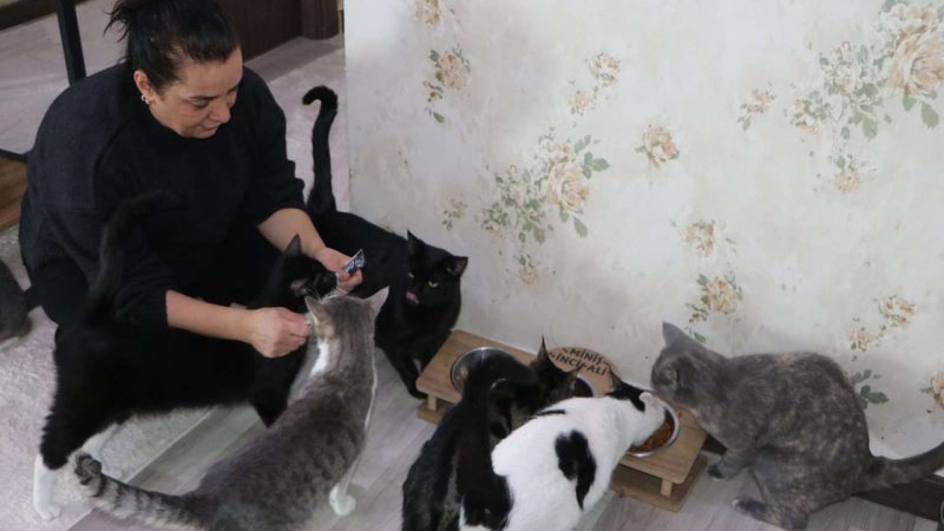 Erzurum'da Derya Çizmeli, Kedi Korkusunu Yenerek Evini Sokak Kedilerine Yuva Yaptı