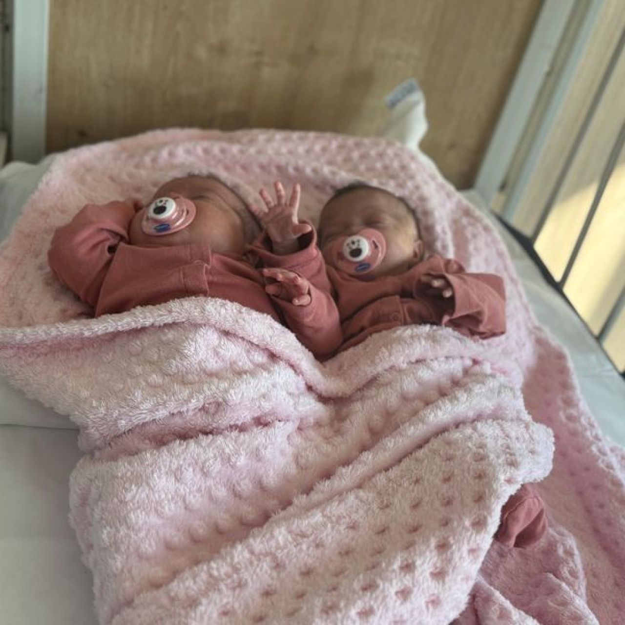 Prematüre ikizler, anjiyoyla hayata tutundu