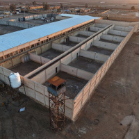 ABD DEAŞ'lı mahkumları Irak'a nakledecek