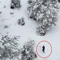 Çoban Dron'a dur dedi