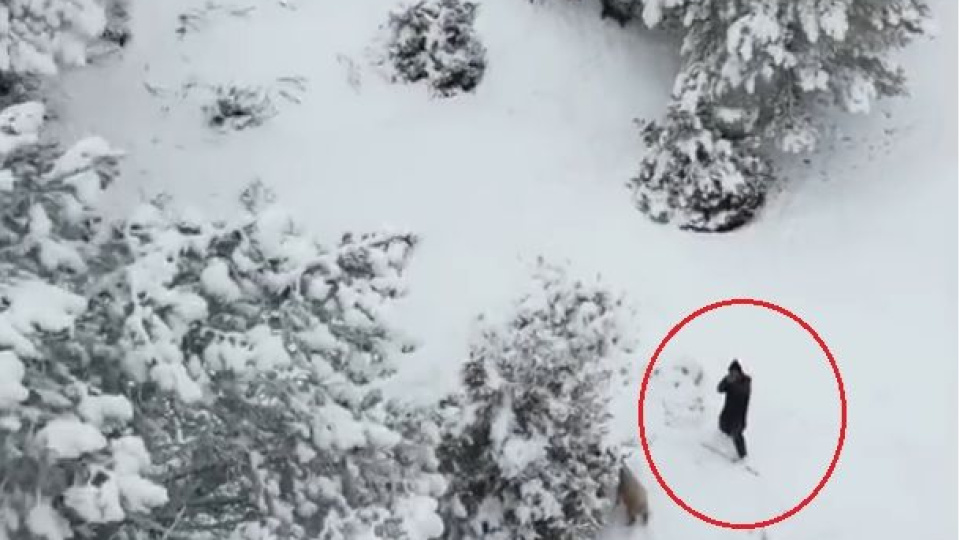 Çoban Dron'a dur dedi