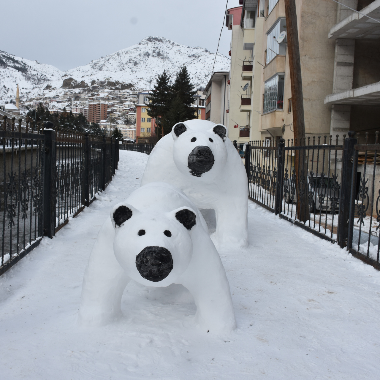 TIR şoförü kürekle yaptı! İlgi odağı oldu