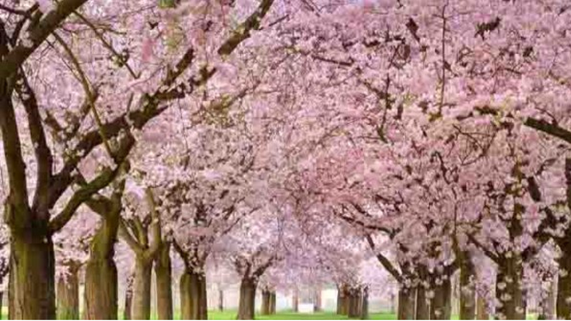 Cemre düşmesi ne zaman, hangi tarihte? 2026 Cemre düşme tarihleri