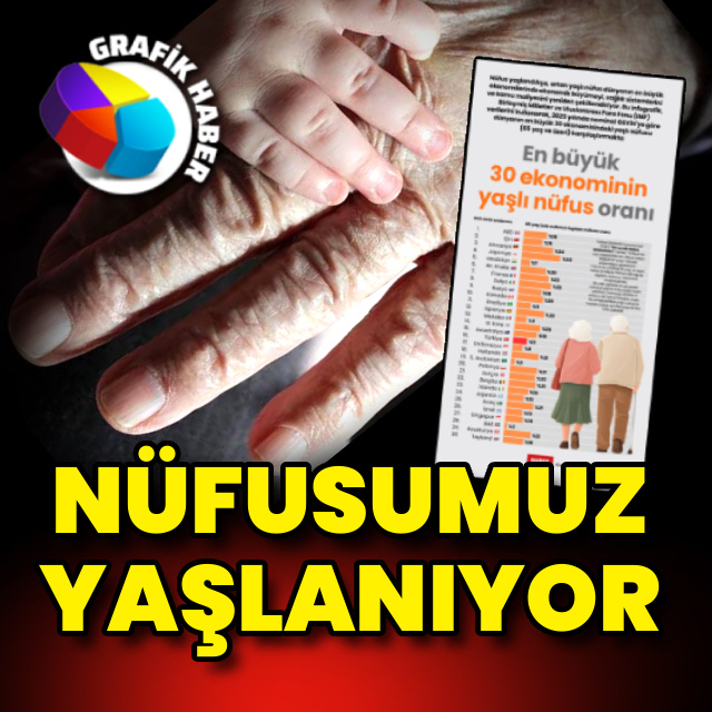 En büyük 30 ekonominin yaşlı nüfus oranı