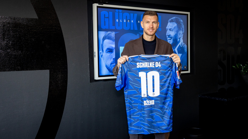 Edin Dzeko, Schalke 04'te!