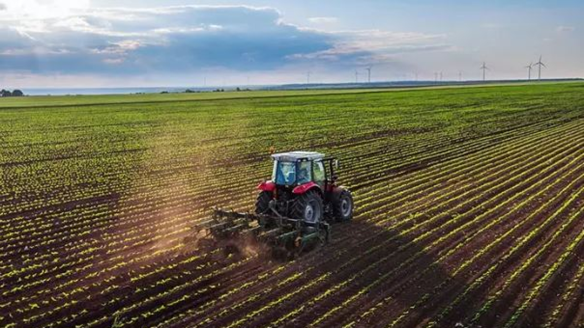 Tarım Ürünleri İthalatında Yetkili Gümrük İdareleri Yeniden Düzenlendi