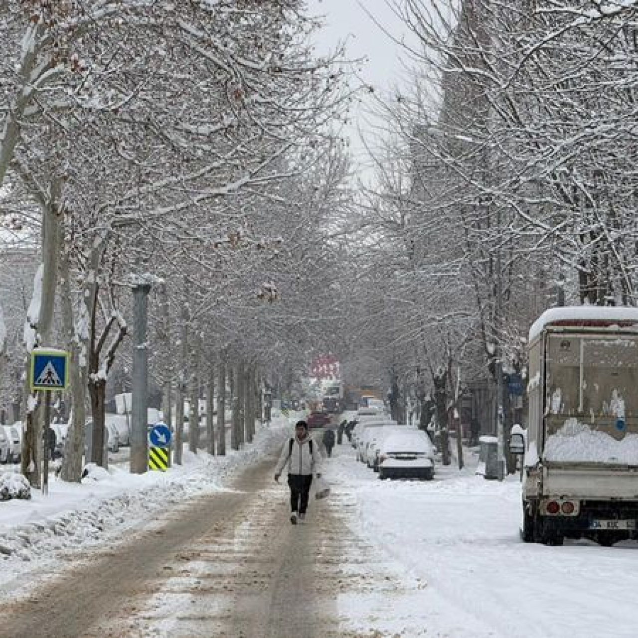 Diyarbakır ve Şırnak'ta uçuşlar iptal