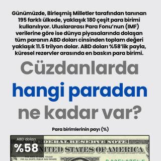Cüzdanlarda hangi paradan ne kadar var?