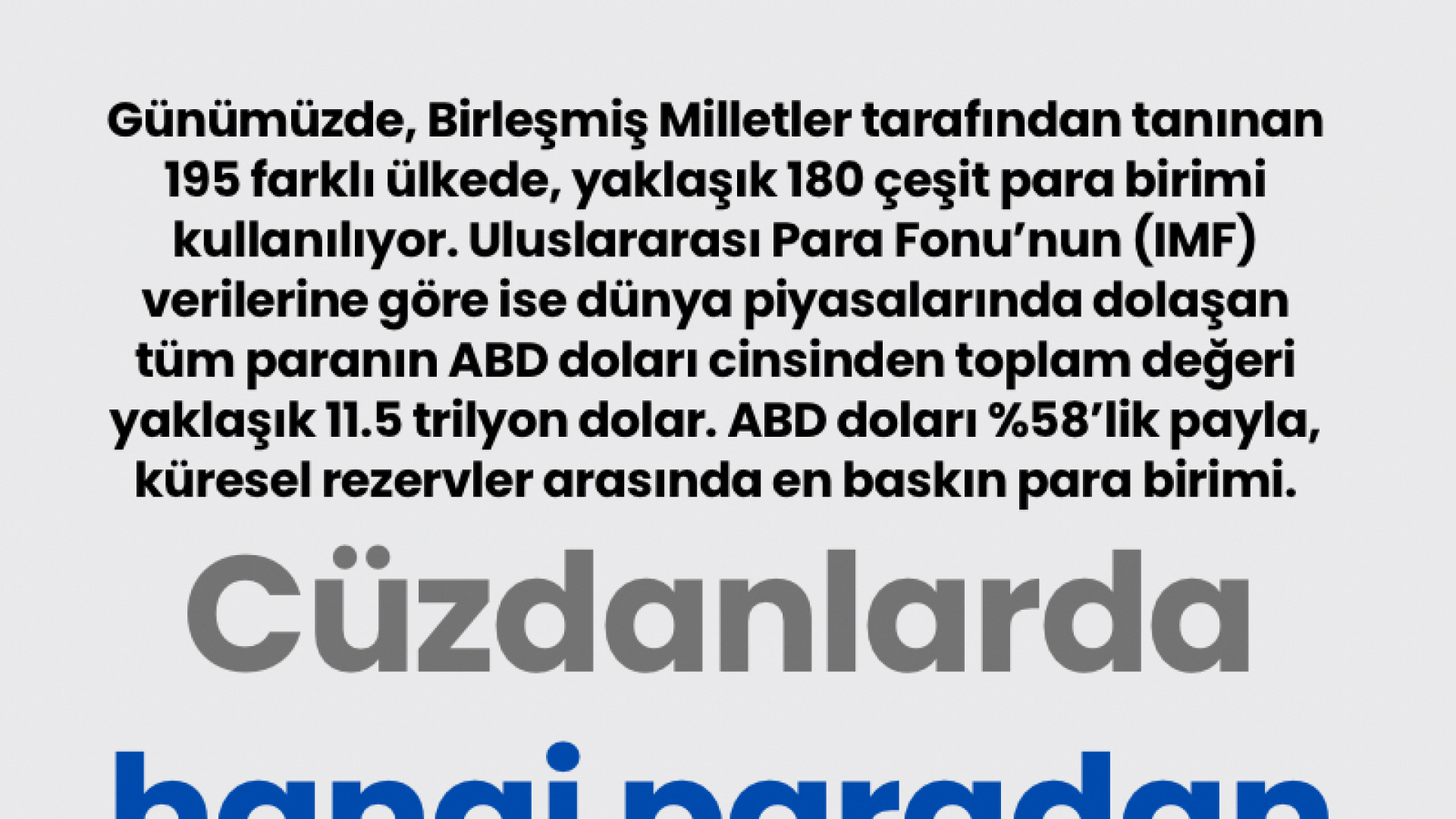 Küresel Cüzdan: Dünyada Kaç Para Birimi Var ve Toplam Değer Ne Kadar?