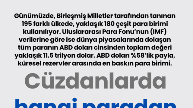 Cüzdanlarda hangi paradan ne kadar var?
