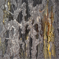 Tuğçe Çalımbay’dan yeni sergi: 'HIDDEN'