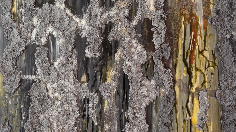 Tuğçe Çalımbay'dan yeni sergi: 'HIDDEN'