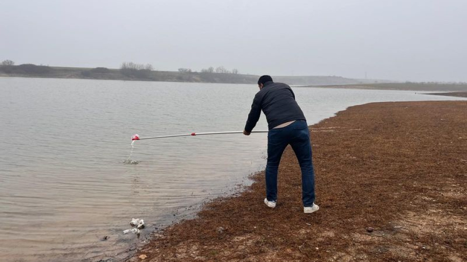 Tekirdağ'da gölette toplu balık ölümleri