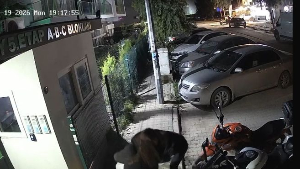 Sokak ortasında öldürdü!