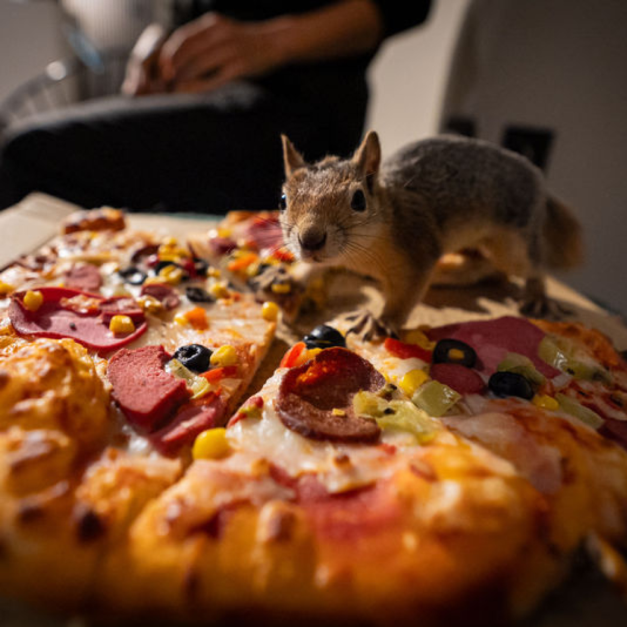 'Yoda', doğada hayatta kalmayı öğreniyor