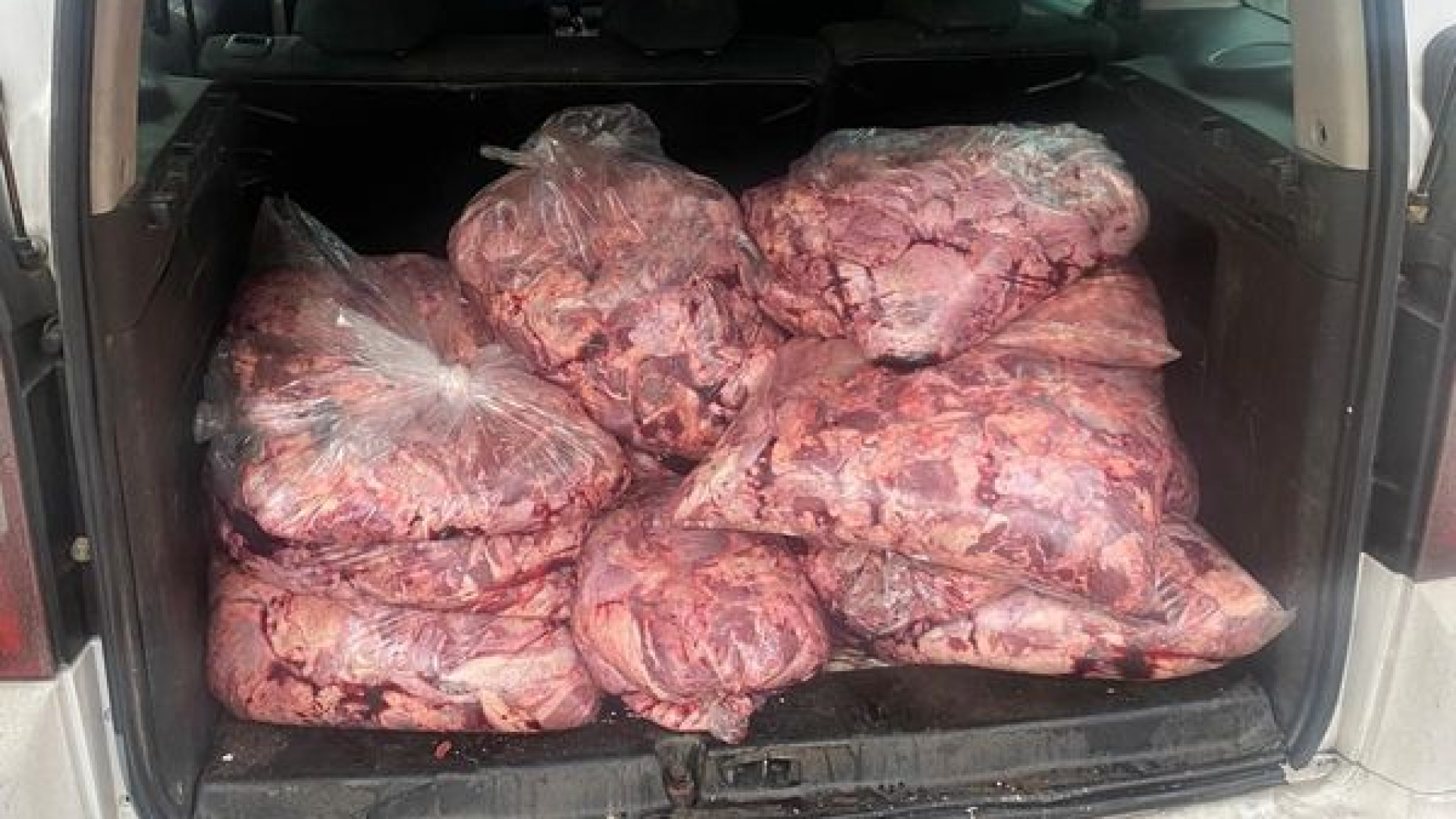 Son dakika: Zonguldakta hafif ticari araçta 450 kilogram bozuk et ele geçirildi